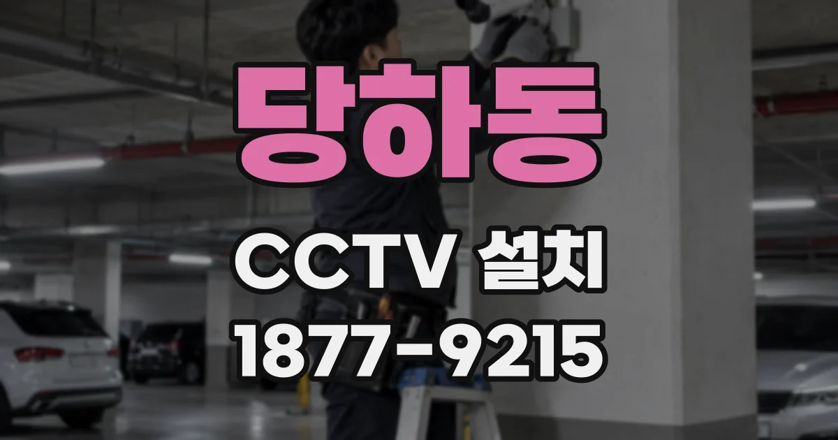 당하동 CCTV 설치