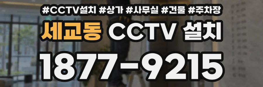 세교동 CCTV 설치