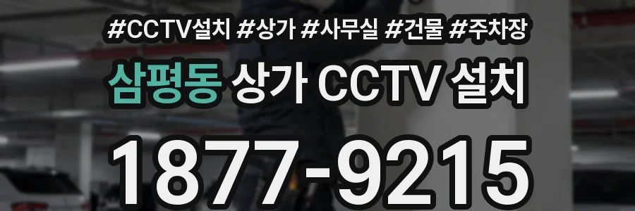 삼평동 상가 CCTV 설치