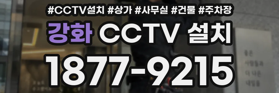 강화 CCTV 설치