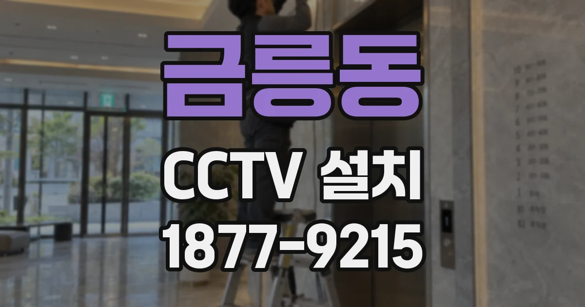 금릉동 CCTV 설치