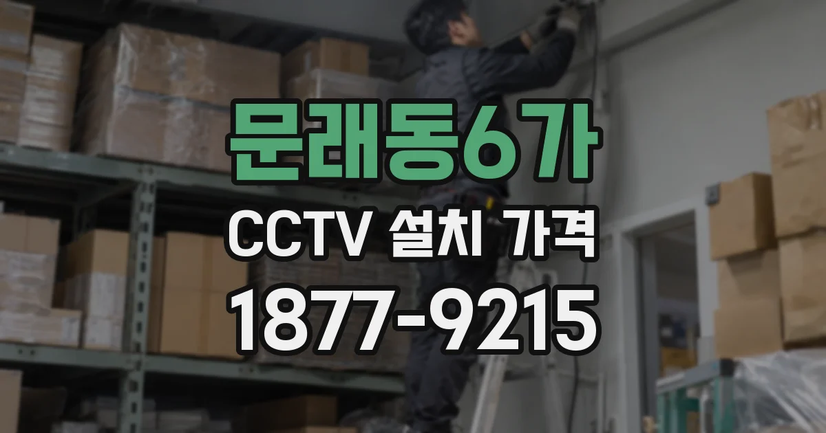 문래동6가 CCTV 설치 가격