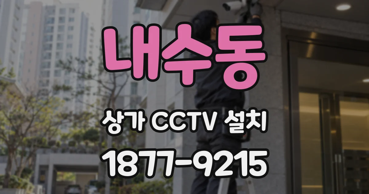 내수동 상가 CCTV 설치