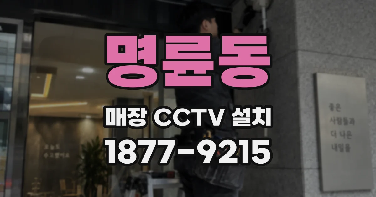 명륜동 매장 CCTV 설치