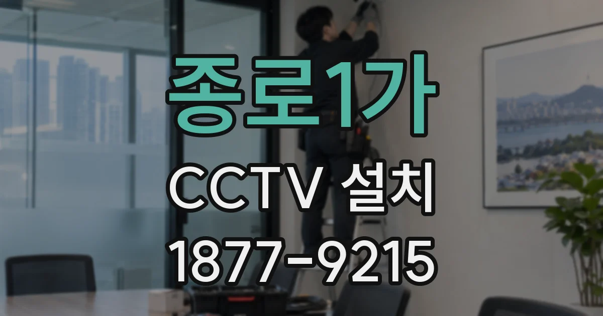 종로1가 CCTV 설치