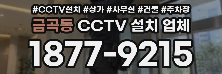 금곡동 CCTV 설치 업체