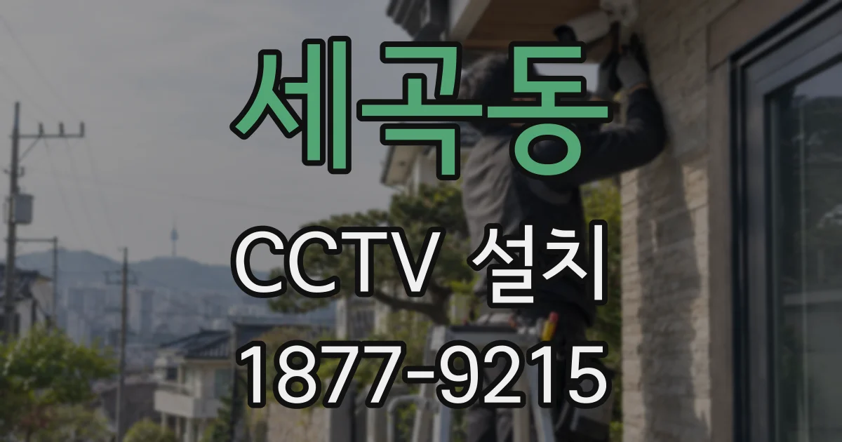 세곡동 CCTV 설치