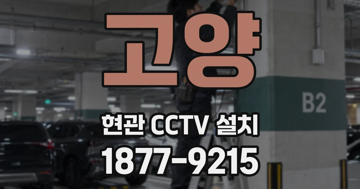 고양 현관 CCTV 설치