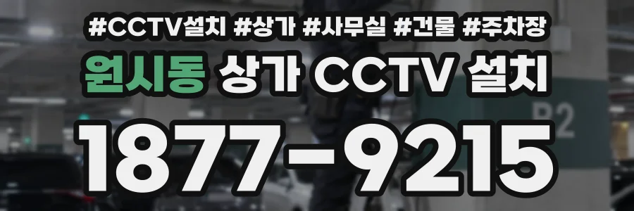 원시동 상가 CCTV 설치