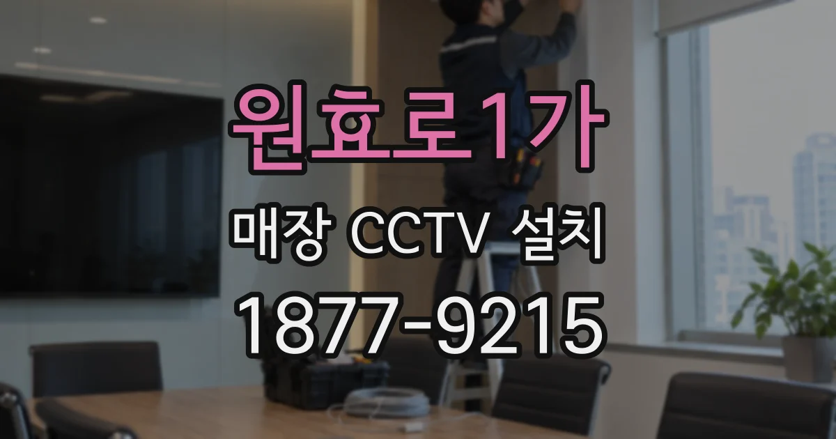 원효로1가 매장 CCTV 설치