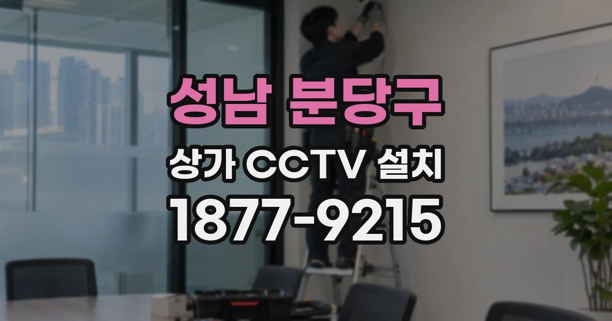 성남 분당구 상가 CCTV 설치