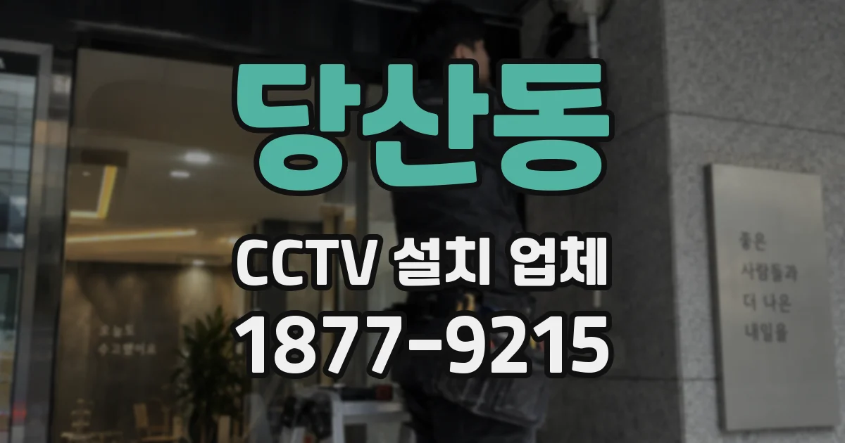 당산동 CCTV 설치 업체