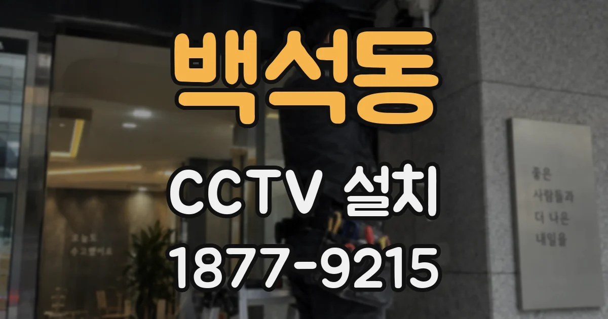 백석동 CCTV 설치