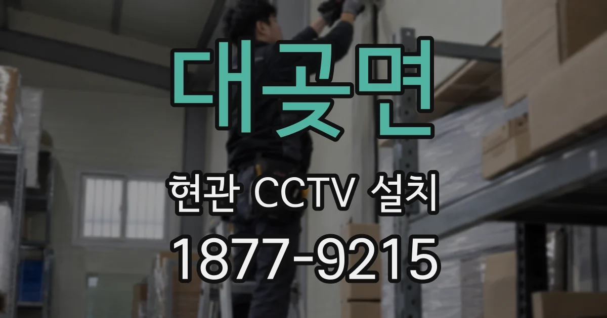 대곶면 현관 CCTV 설치