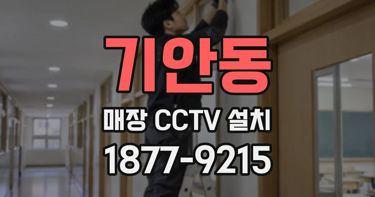 기안동 매장 CCTV 설치