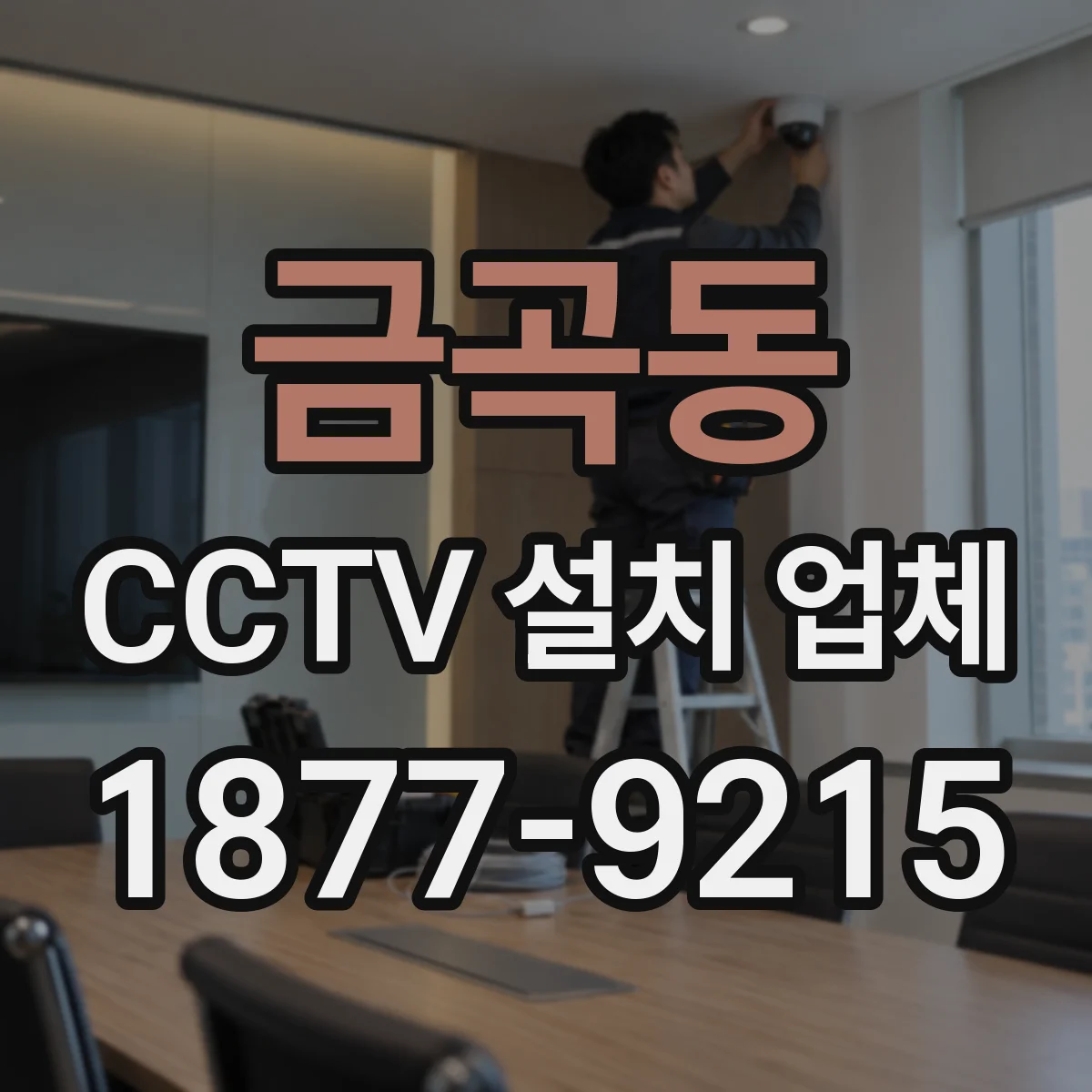 금곡동 CCTV 설치 업체