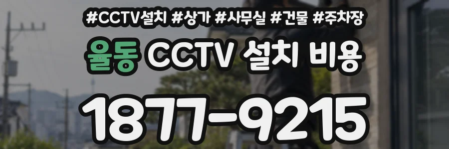 율동 CCTV 설치 비용
