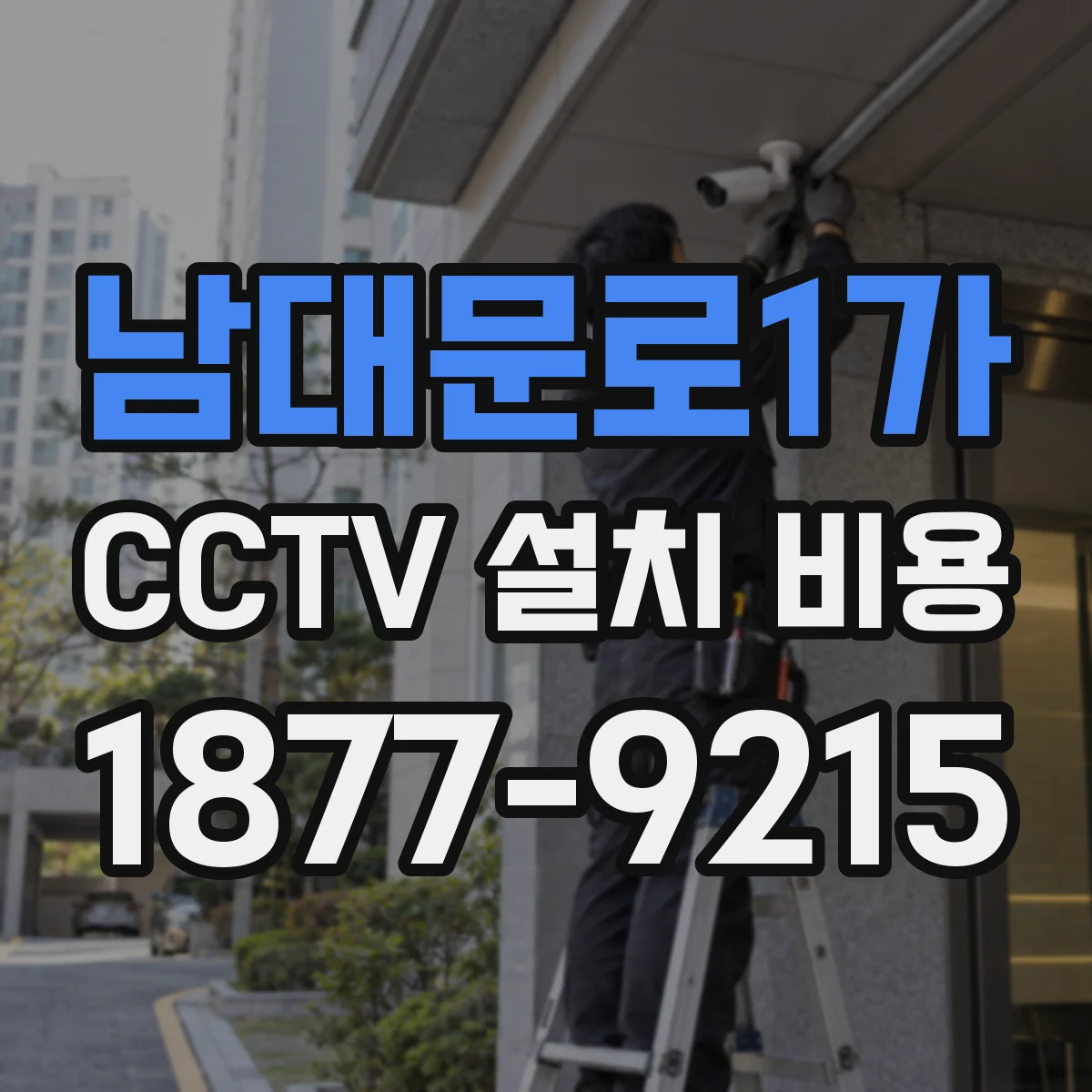 남대문로1가 CCTV 설치 비용