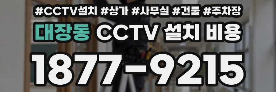 대장동 CCTV 설치 비용