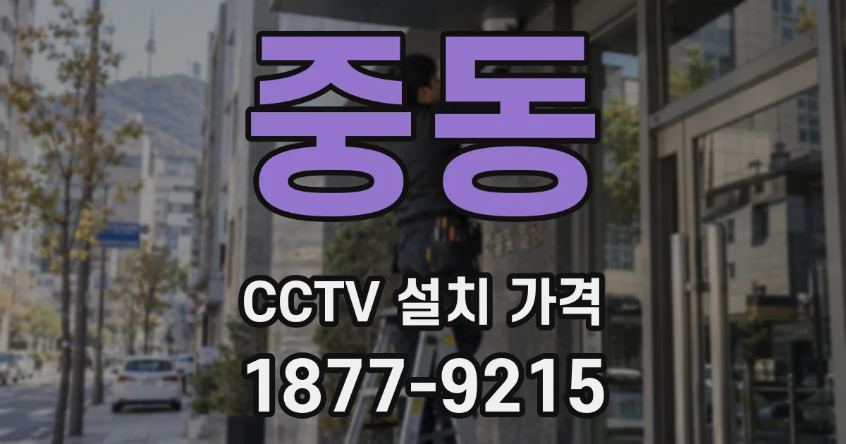 중동 CCTV 설치 가격