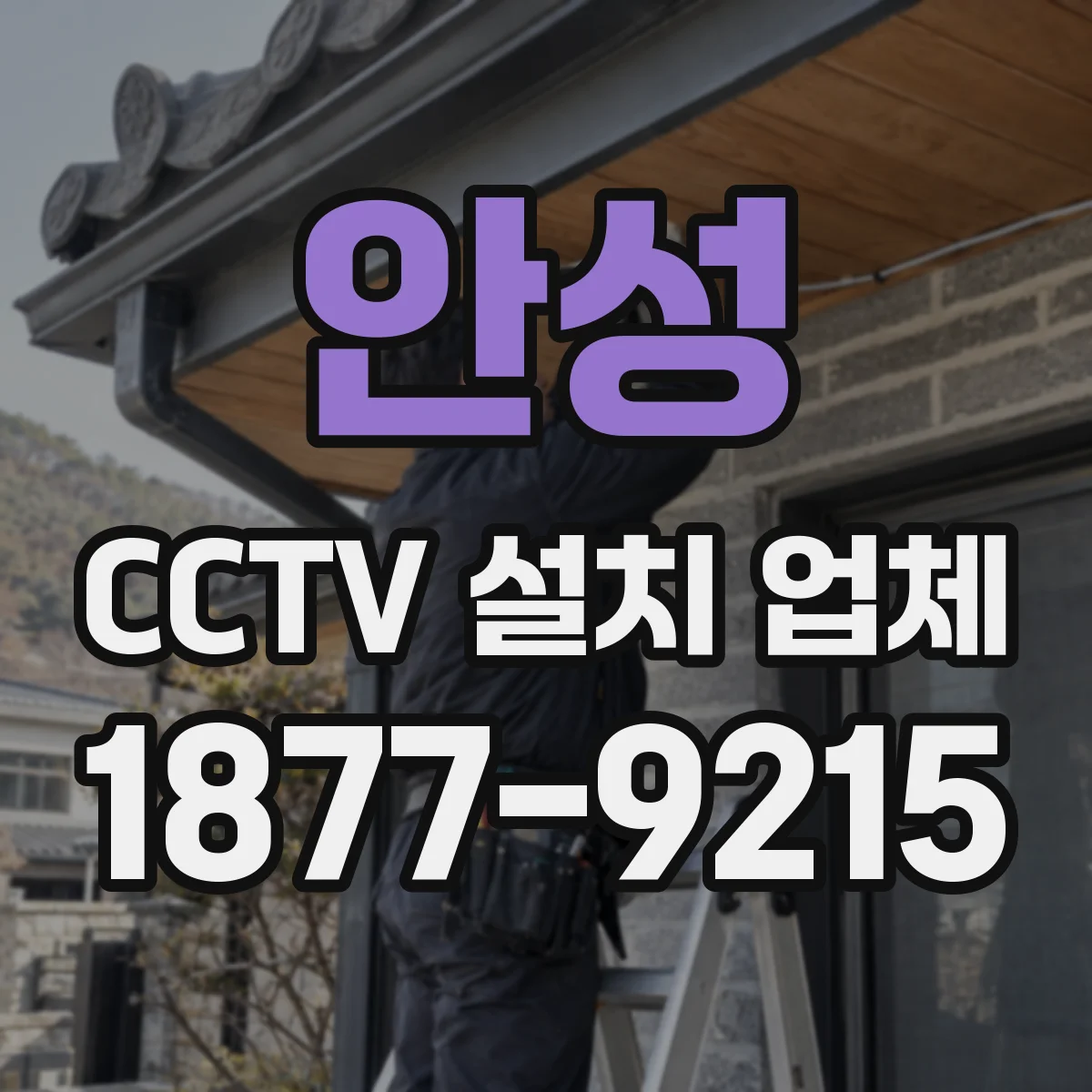 안성 CCTV 설치 업체 전시관 분실·훼손 예방을 위한 카메라 시나리오