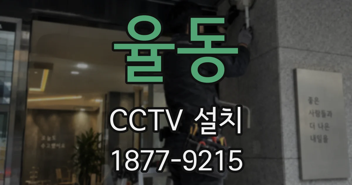율동 CCTV 설치