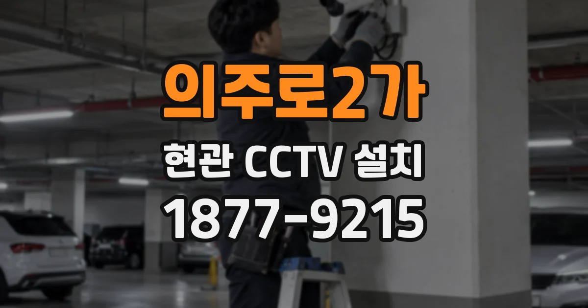 의주로2가 현관 CCTV 설치