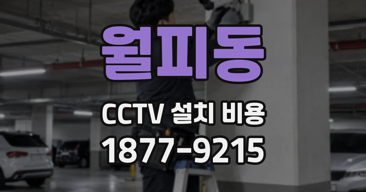 월피동 CCTV 설치 비용