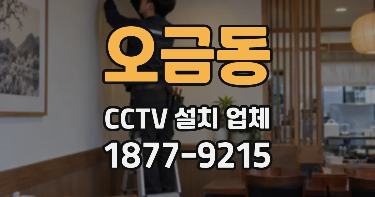 오금동 CCTV 설치 업체