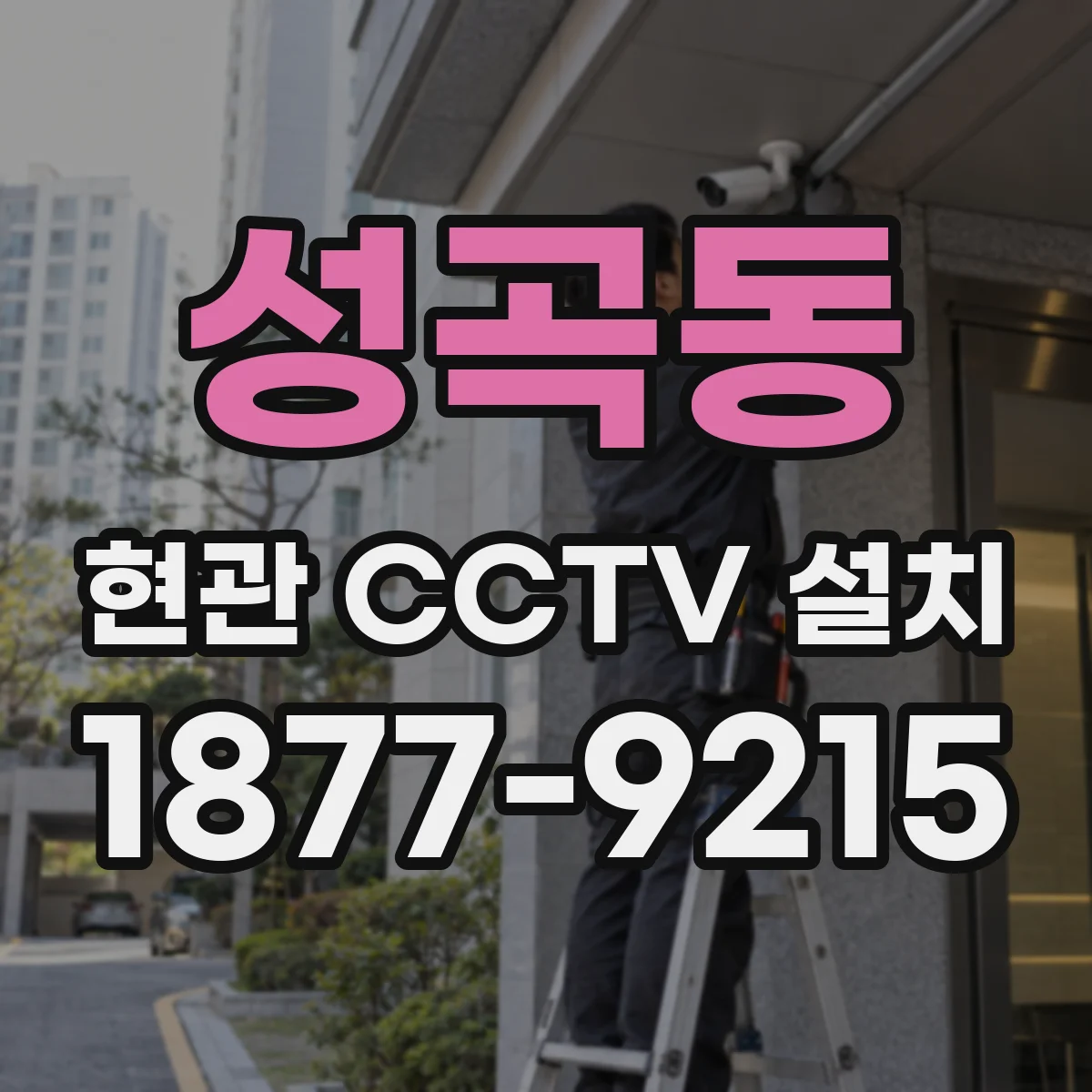 성곡동 현관 CCTV 설치