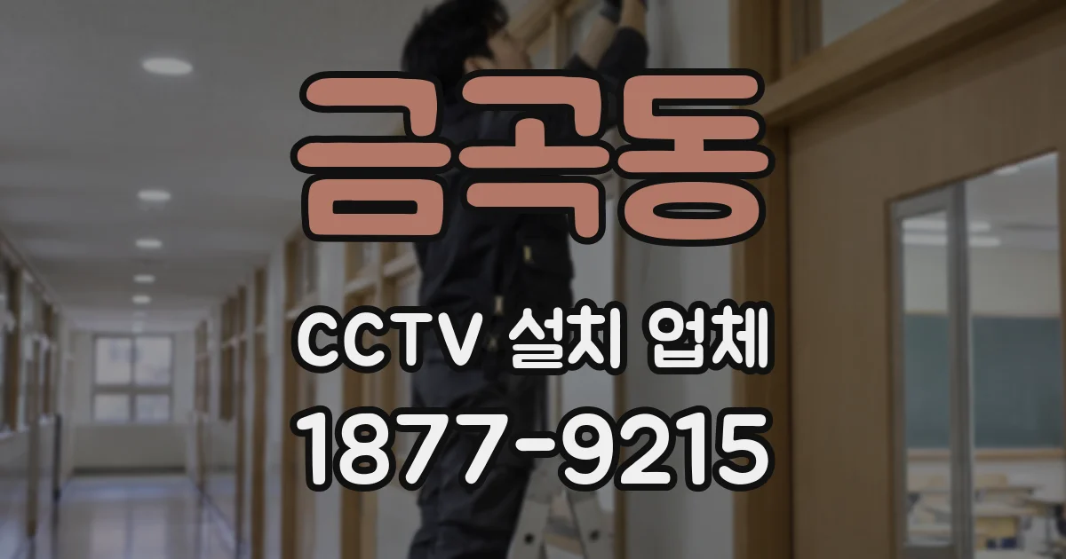 금곡동 CCTV 설치 업체