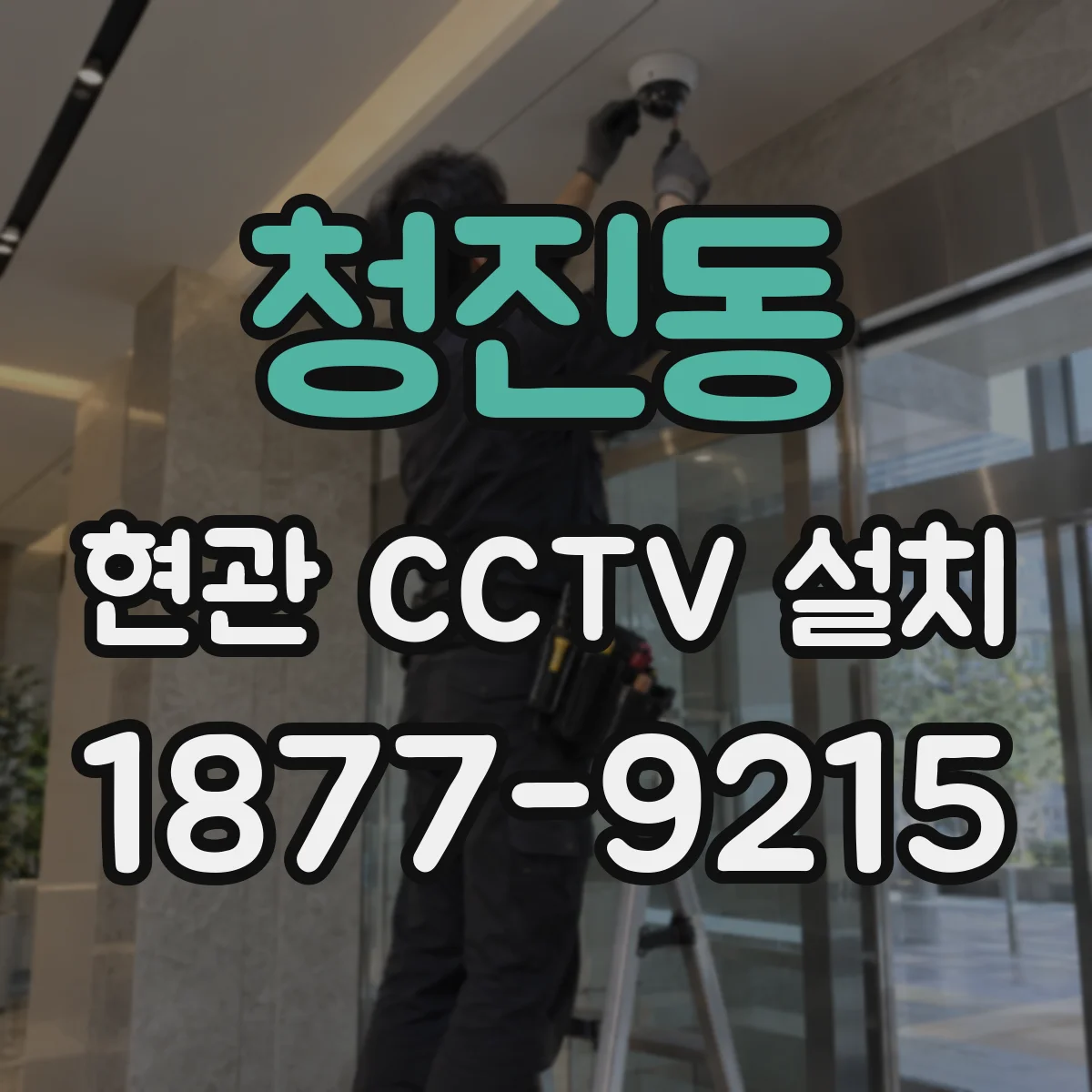 청진동 현관 CCTV 설치
