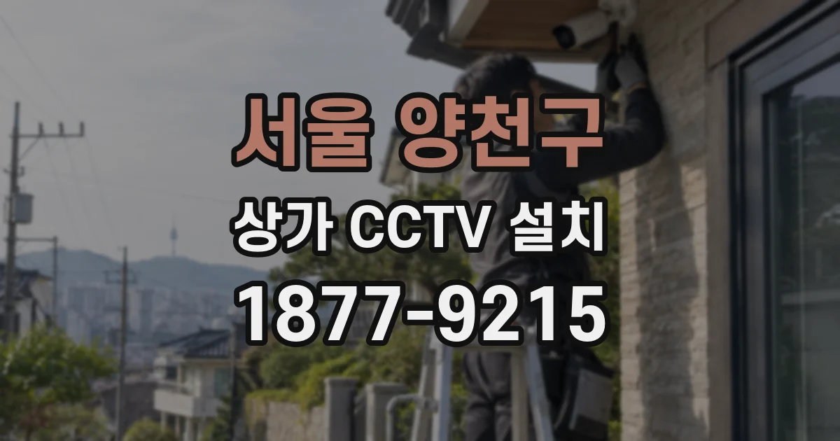 서울 양천구 상가 CCTV 설치