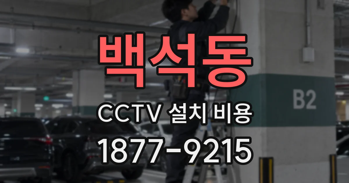 백석동 CCTV 설치 비용