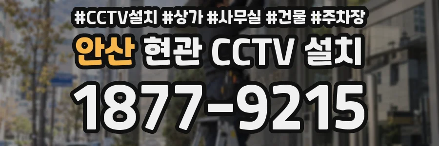 안산 현관 CCTV 설치