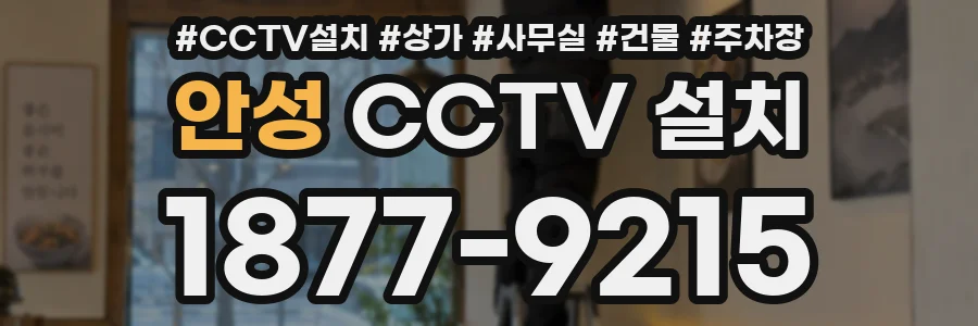 안성 CCTV 설치