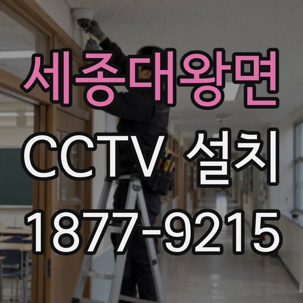 세종대왕면 CCTV 설치