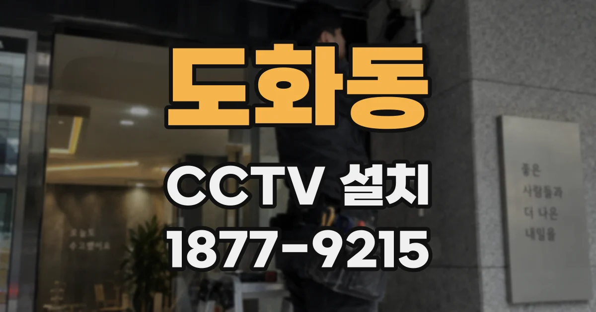 도화동 CCTV 설치