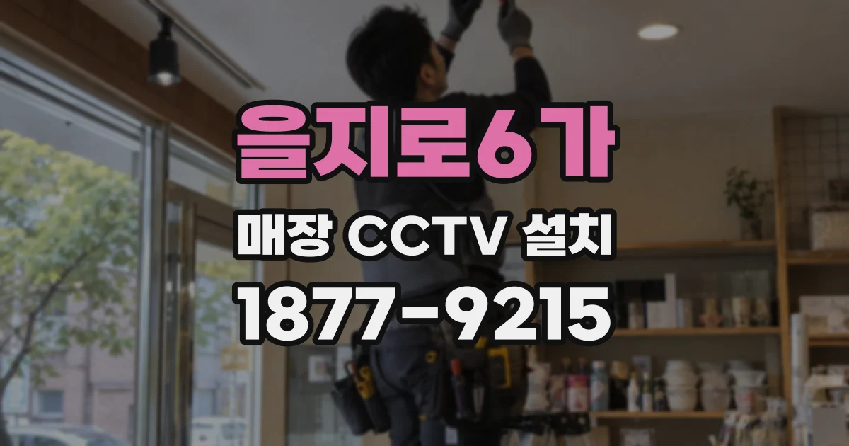 을지로6가 매장 CCTV 설치