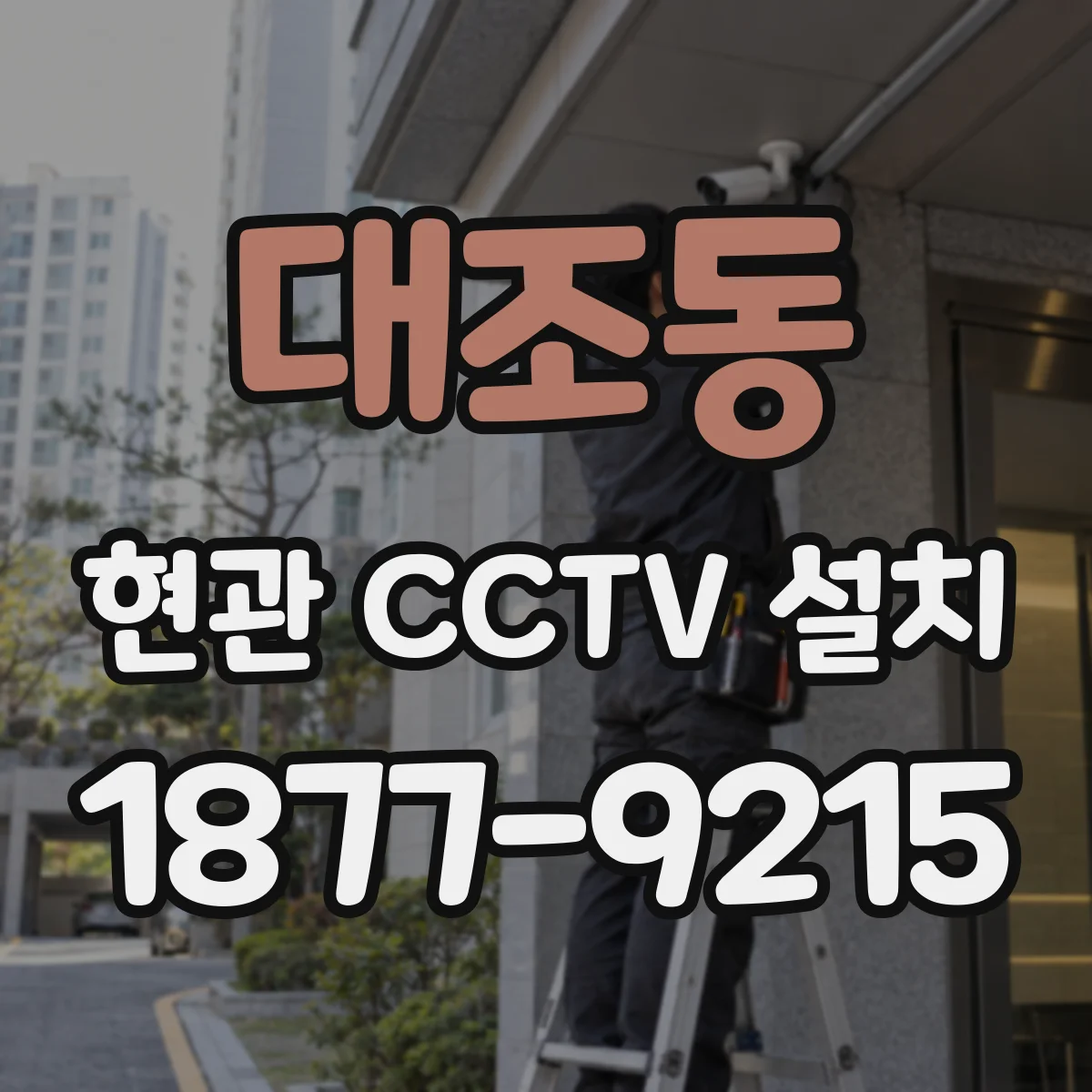 대조동 현관 CCTV 설치