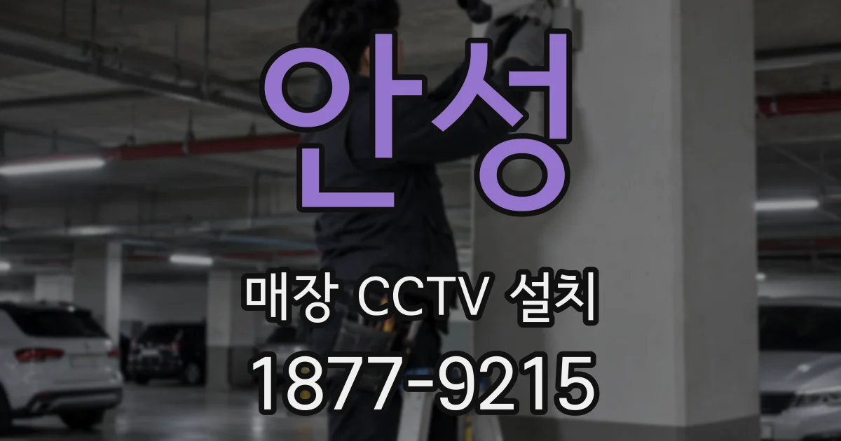 안성 매장 CCTV 설치