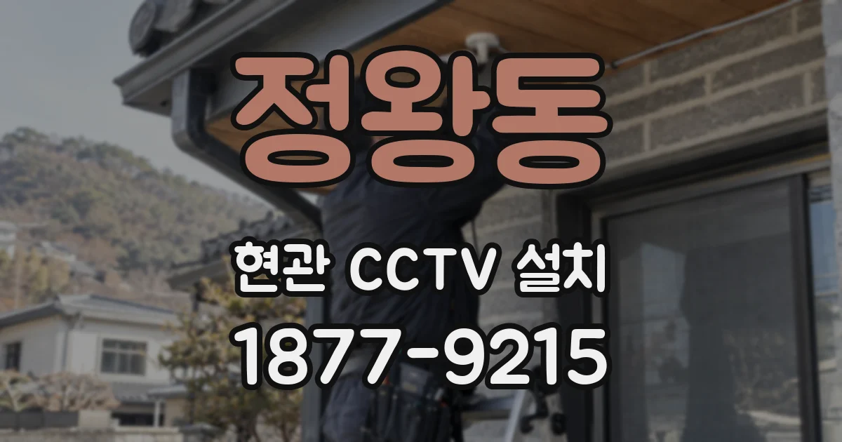 정왕동 현관 CCTV 설치