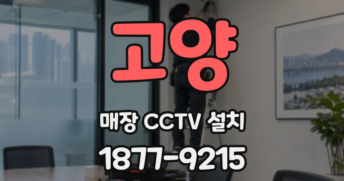 고양 매장 CCTV 설치