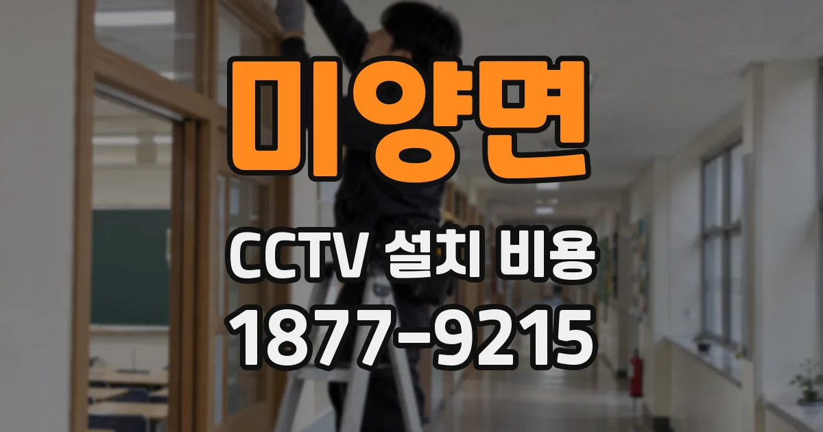 미양면 CCTV 설치 비용