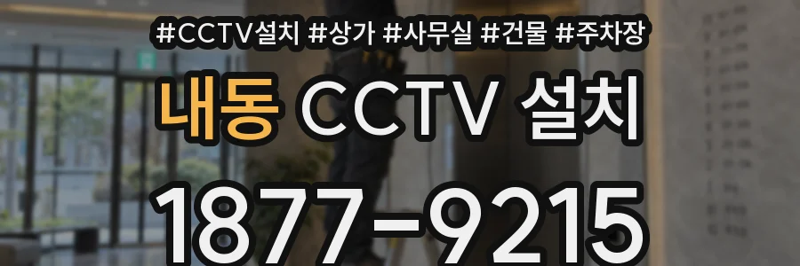 내동 CCTV 설치
