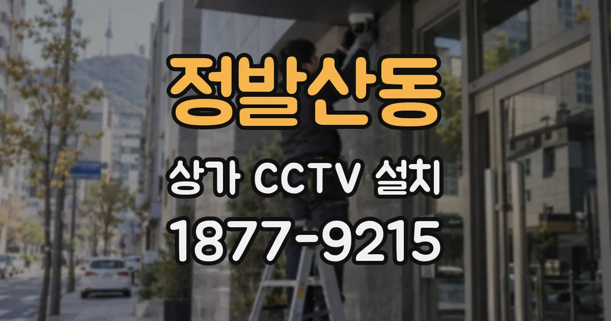 정발산동 상가 CCTV 설치
