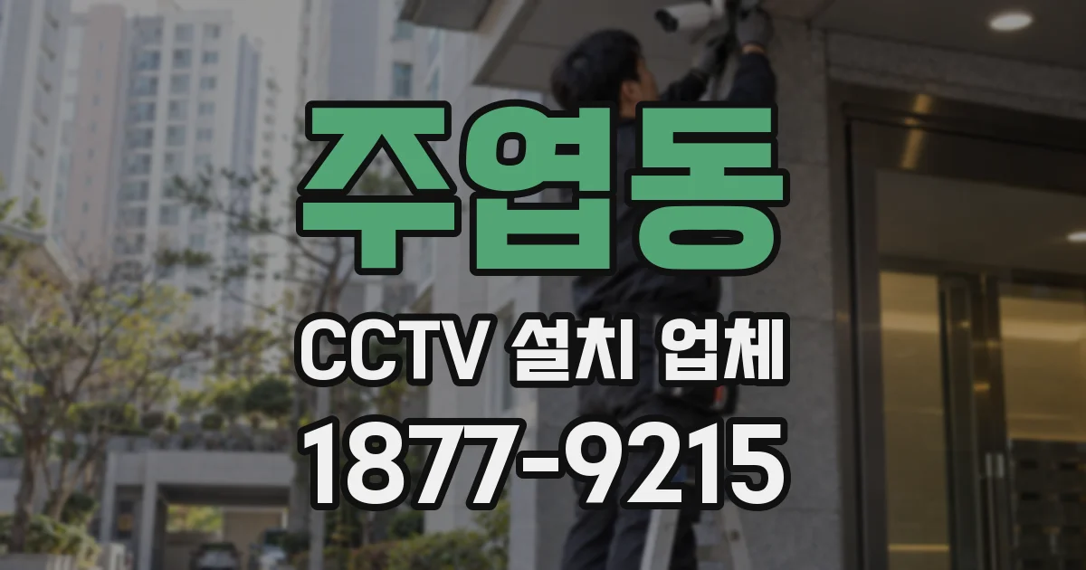 주엽동 CCTV 설치 업체