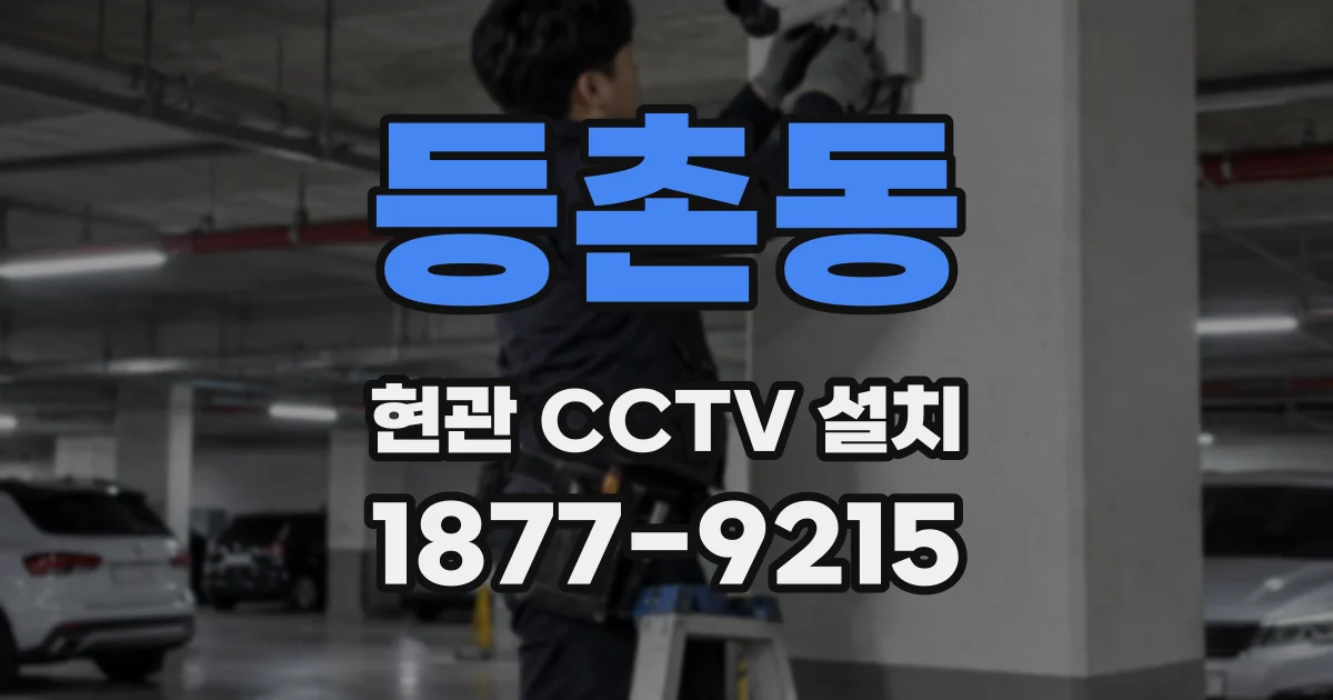 등촌동 현관 CCTV 설치