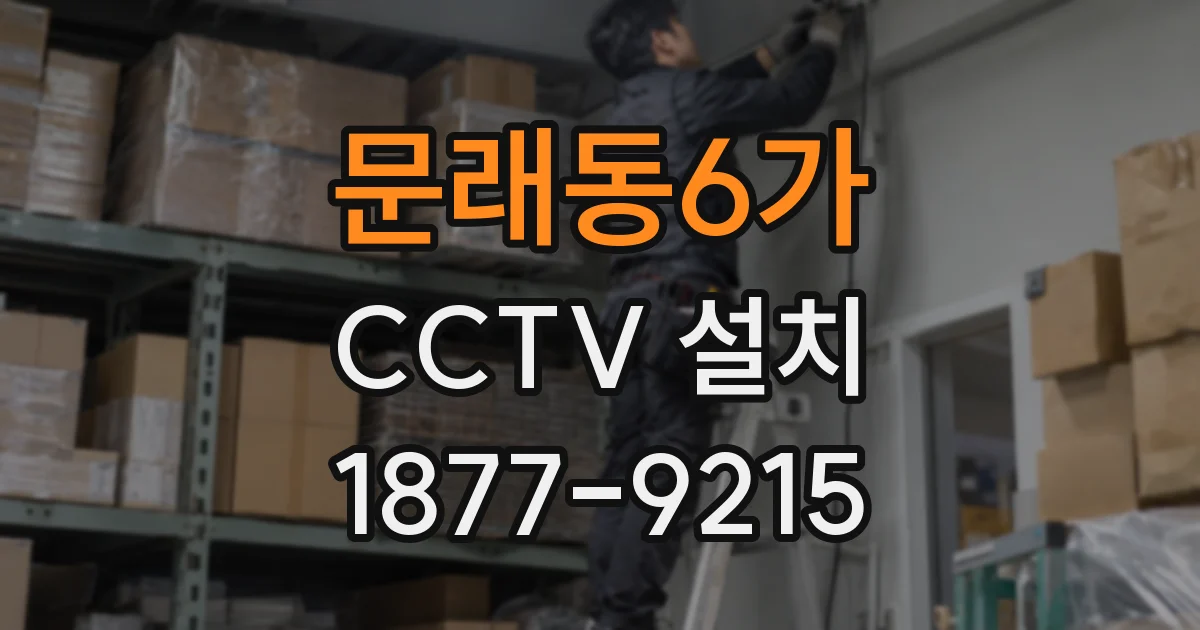 문래동6가 CCTV 설치
