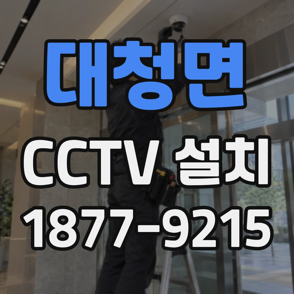 대청면 CCTV 설치